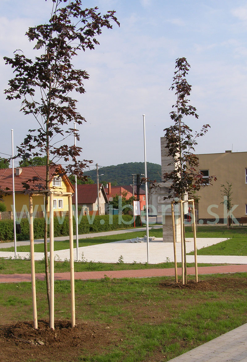 zahradnictvo IBERIS, Presov
